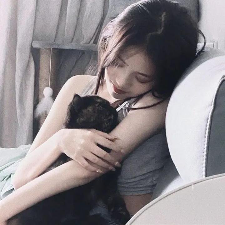 半人马世界第二季在线观看